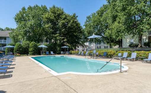 A large swimming pool surrounded by trees and chairs at Madison at Eden Brook, 21046