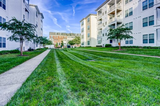 Green Space at MetroPlace at Town Center, Camp Springs, 20746