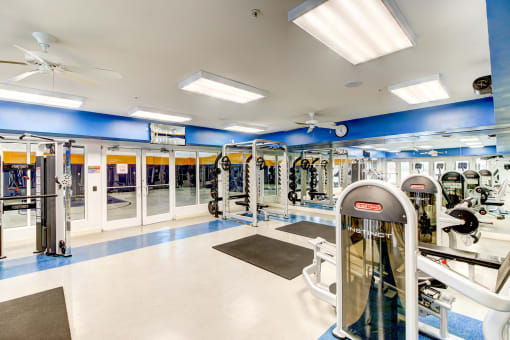 a gym with weights and cardio equipment and glass doors at MetroPlace at Town Center, Maryland, 20746