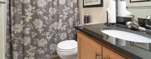 Master Bathroom at Potomac Ridge Apartments, Virginia
