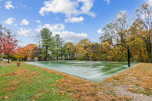 A basketball court surrounded by trees with autumn leaves  at Poplar Glen Apartments, Columbia, MD, 21044.