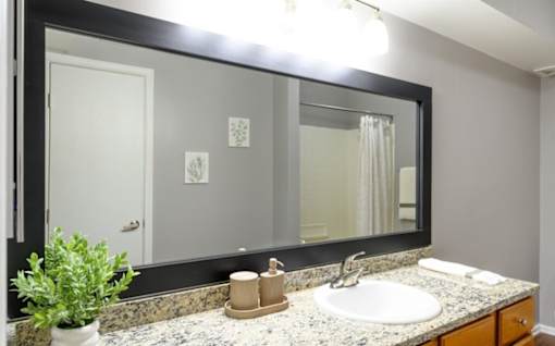 A bathroom with a sink, mirror, and a potted plant.
