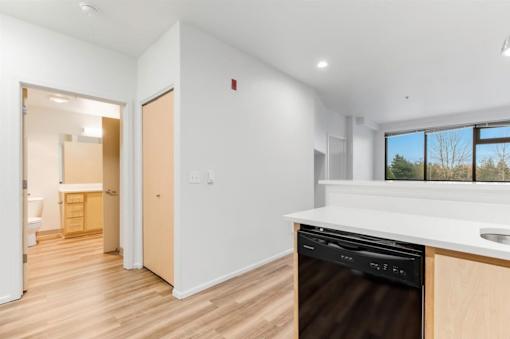 A modern kitchen with a dishwasher and a window.