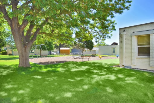 a backyard with a tree and a play area