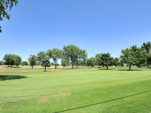 Fairway landscaping