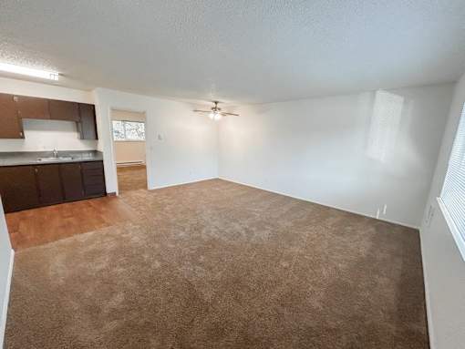 A room with a brown carpet and white walls.
