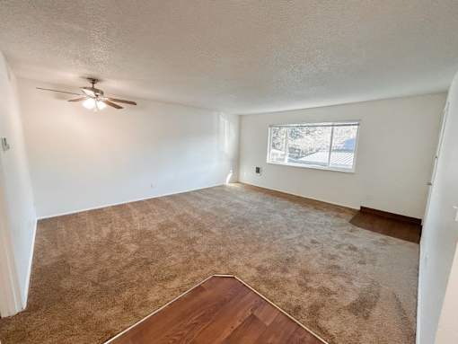 A room with a ceiling fan and carpeted floor.