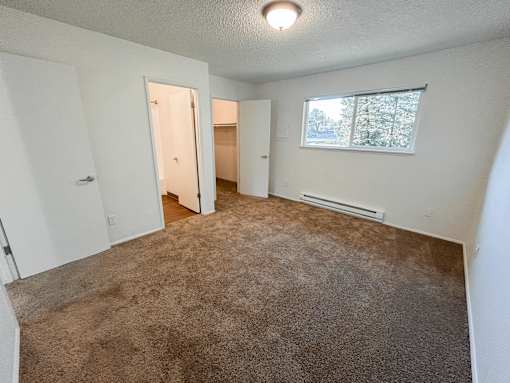 A room with carpeted floor and a window showing trees outside.