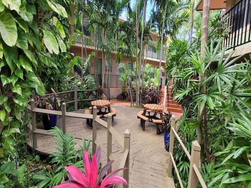 a patio with benches and plants in a tropical garden