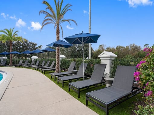 a row of lounge chairs and umbrellas next to a pool