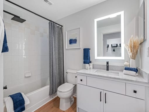 a bathroom with a sink and a toilet and a shower