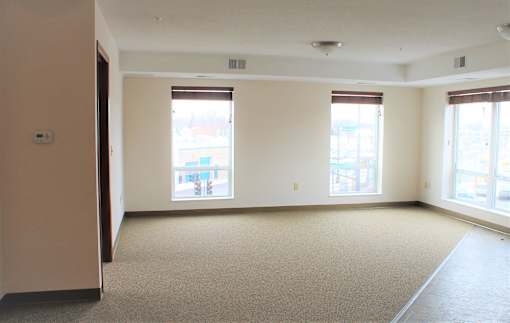 A large, empty room with carpeted floors and two windows.