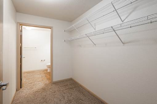 Primary bedroom closet with a carpeted floor and a door leading to a bathroom.