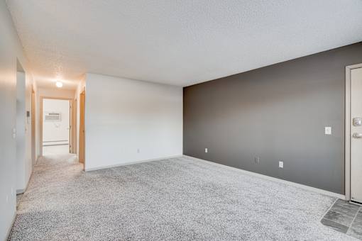 Living room with grey accent wall.