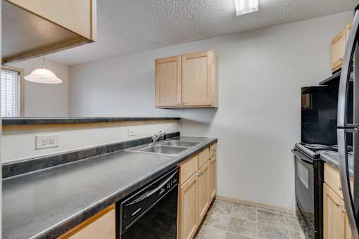 A kitchen with a black refrigerator, and a black dishwasher.