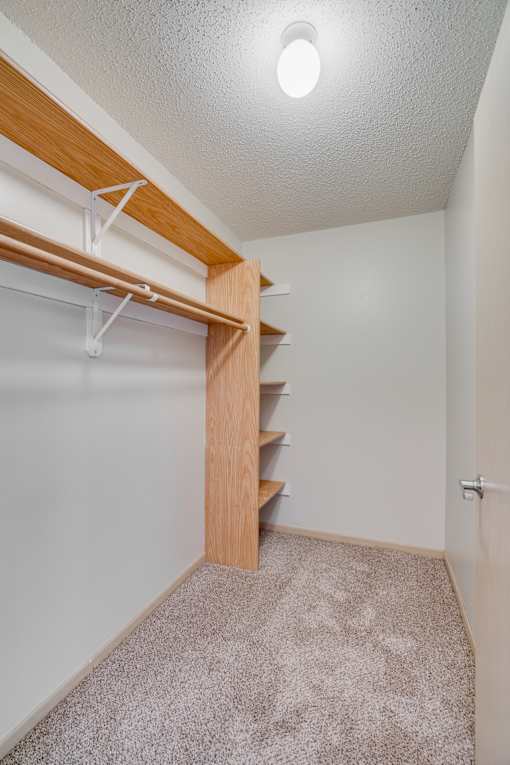 Primary Bedroom Closer with built-in wooden shelf and a carpeted floor.