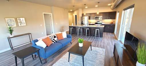 Open and Spacious Kitching and Living area