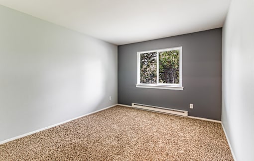 A room with a window and carpeted floor.