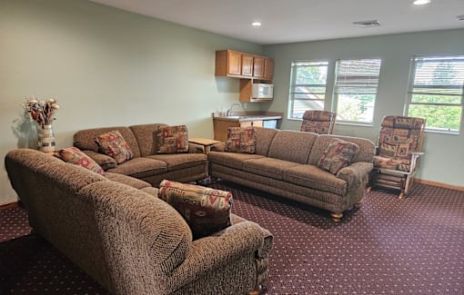 A living room with brown couches and a red carpet.