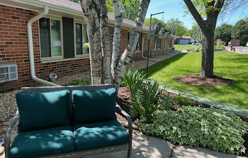 A green couch is in the foreground of a sunny backyard.