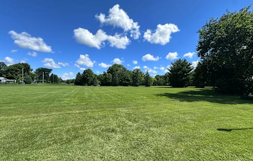 A large, open grassy field with trees in the distance and a blue sky above.