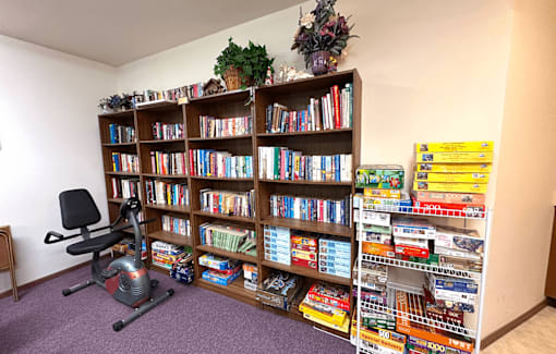 A room with a bookshelf full of books and a chair with a plant on top.