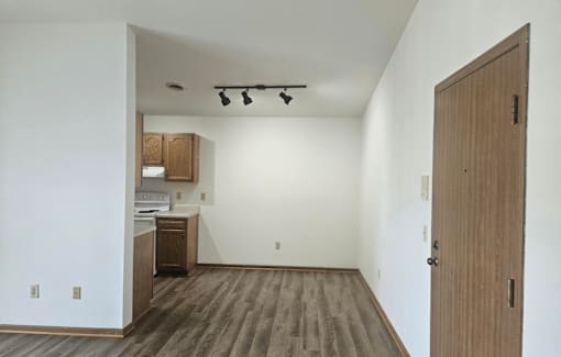 A room with a wooden floor and a wooden door.