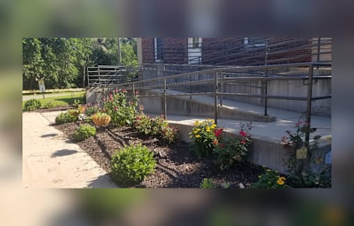 A garden with a variety of plants and flowers in the foreground and a metal fence in the background.