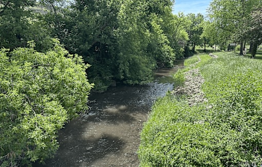 A river flows through a lush green forest.