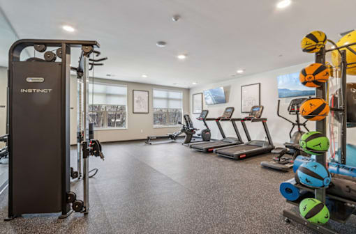A gym with a variety of equipment including treadmills, weights, and a squat rack.