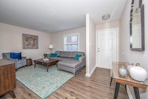 A living room with a grey couch, a brown coffee table, and a blue rug.