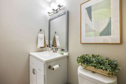 A bathroom with a toilet, sink, mirror, and a plant.