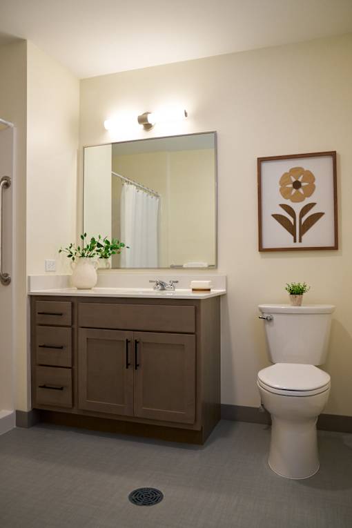 A bathroom with a toilet, sink, and mirror.