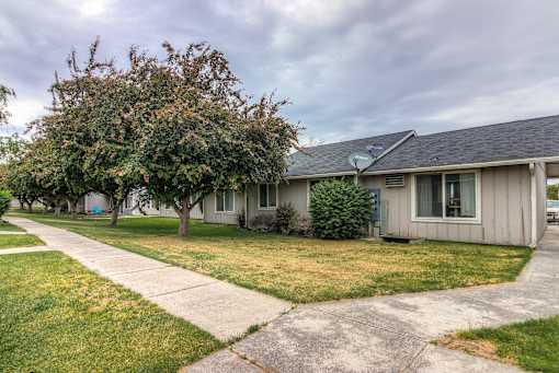 A house with a tree in front of it.