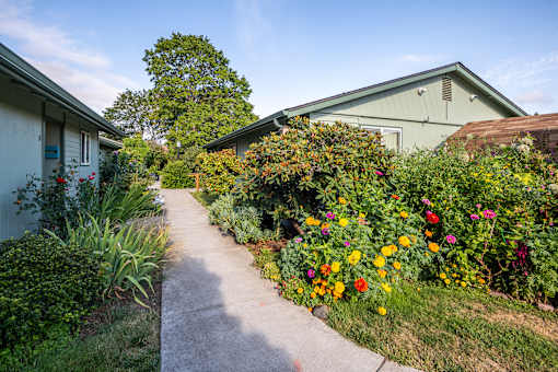 a garden in front of a house with a sidewalk