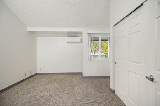 A room with a carpeted floor and a window showing greenery outside.