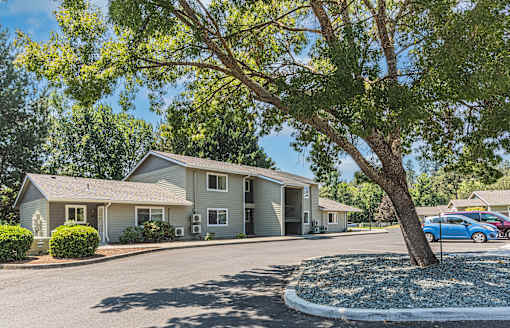 a street view of a house with a tree in front of it