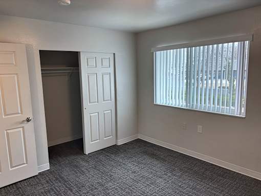A room with a grey carpet and a window with blinds.