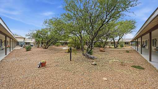 A courtyard with a tree in the middle and a gravel ground.