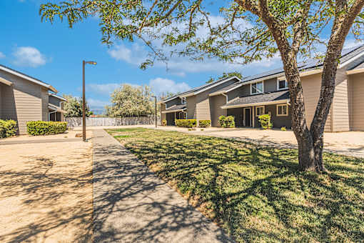 a tree and a sidewalk in front of some houses