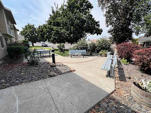 a walkway with benches and trees in a park