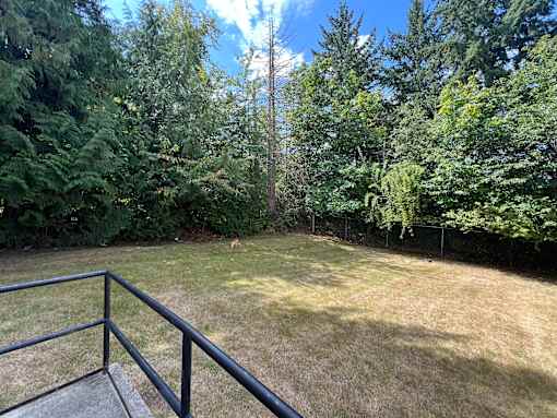 A backyard with a metal railing and trees.