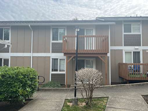 A small tree is in front of a grey building with a balcony.
