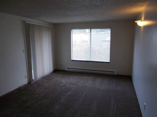 A room with a carpeted floor and a window with blinds.