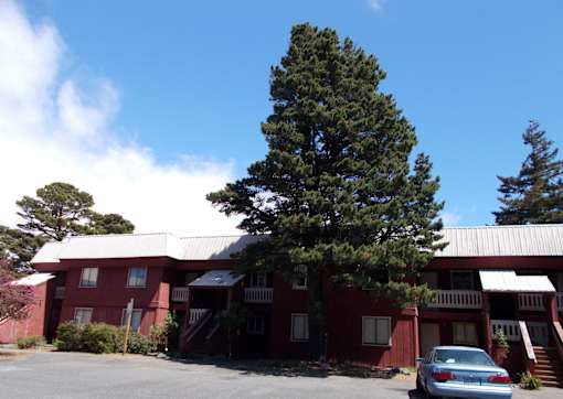 A red building with a tree in front of it.