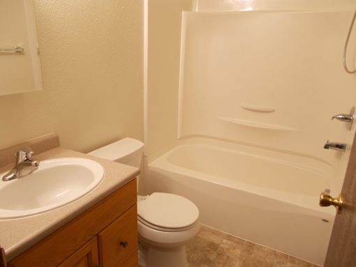 A white toilet sits next to a sink in a bathroom.