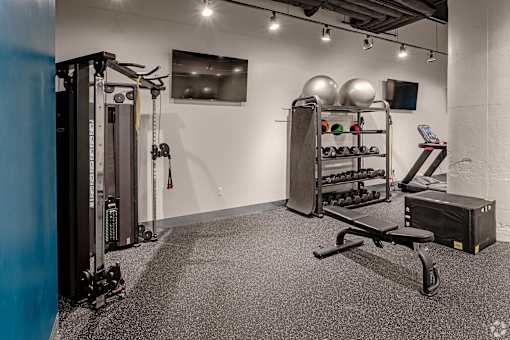 A gym with a weight rack, a bench, and a row of dumbbells.