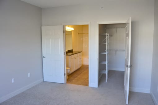 Large closet, bedroom with carpet, and bathroom