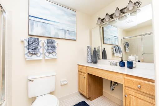 A white toilet sits next to a sink in a bathroom.
