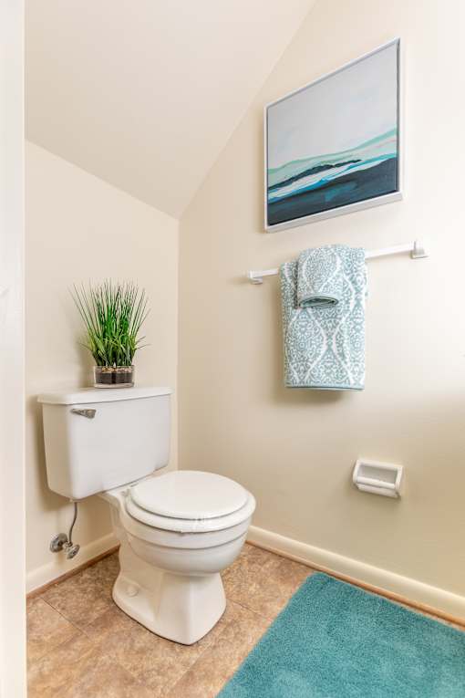 A white toilet with a plant on top of the tank and a towel rack with a towel hanging on it.